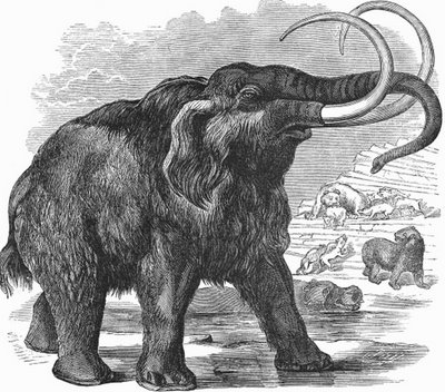 Mammoth
