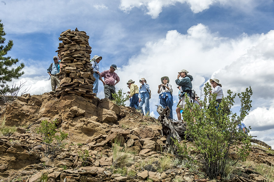 Photo: Wayne Johnston